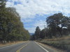 199번 도로에서 왼쪽으로 꺽어 Oregon Caves로 가는 46번 도로의 풍경.