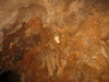 [Lake Shasta Caverns]
				<br>며칠 전 오레곤 동굴을 방문할 때의 경우를 가이드에게 말해 주었는데, 여기 캘리포니아 동굴의 가이드는 미국 동부와 중부의 동굴에 사는 박쥐를 초토화시켜 버린 White-fungus syndrome에 대해
				금시초문이라는 표정이었다.