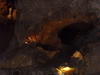 [Lake Shasta Caverns]