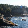 Cape Flattery Trail, 20 minutes from Neah Bay.