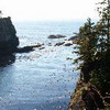 Cape Flattery Trail, 20 minutes from Neah Bay. 