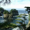 Cape Flattery Trail, 20 minutes from Neah Bay. 