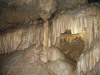 Oregon Caves.