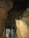 Oregon Caves.