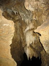 Oregon Caves.