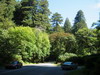 Prairie Creek Redwoods Park로 되돌아와  드디어 'Big and Tall' Tree들을 만나다. 
				Newton B Dury Scenic Parkway와 Big Tree WaySide가 만나는 지점에 차를 세웠다. 이제부터 드디어 놀라는 시간이 시작되는 건가?