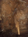 [Lake Shasta Caverns]