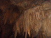 [Lake Shasta Caverns]