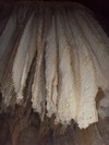 [Lake Shasta Caverns]