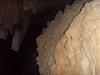 [Lake Shasta Caverns]