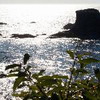 Cape Flattery Trail, 20 minutes from Neah Bay. 