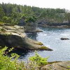 Cape Flattery Trail, 20 minutes from Neah Bay. 