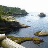 Cape Flattery Trail, 20 minutes from Neah Bay. 