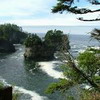 Cape Flattery Trail, 20 minutes from Neah Bay. 